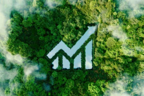 在这个财报季 美元飙升将区分赢家和输家